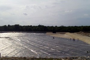 Geomembrane